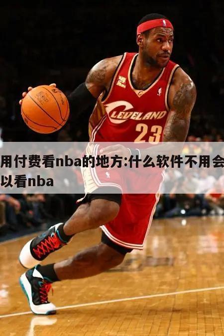 不用付费看nba的地方:什么软件不用会员可以看nba